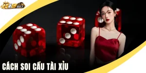 Cách Soi Cầu Tài Xỉu