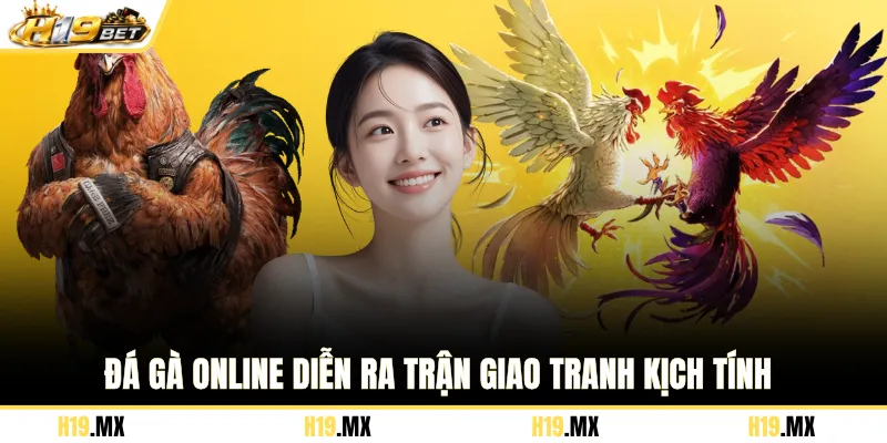 Đá gà online diễn ra trận giao tranh kịch tính