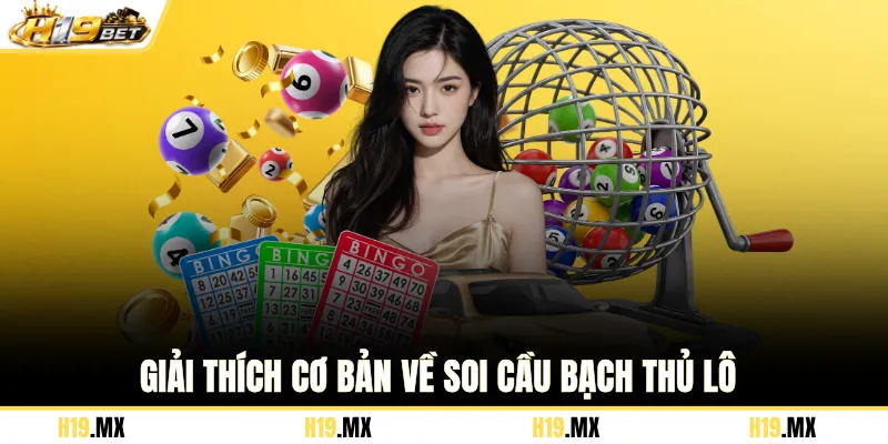 Giải thích cơ bản về soi cầu bạch thủ lô